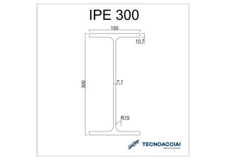 Immagine di S275JR IPE 300