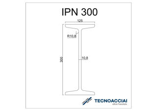 Immagine di S275JR INP 300