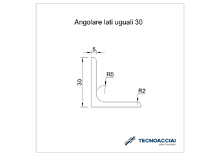 Immagine di S275JR LAMINATO ANGOLARE 30X30X5