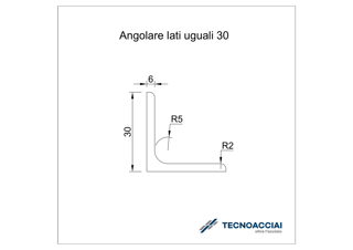 Immagine di S275JR LAMINATO ANGOLARE 30X30X6